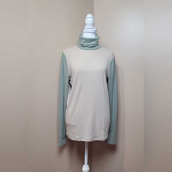 Madewell Colorblock Ribbed Turtleneck Top - Picture 1 of 8